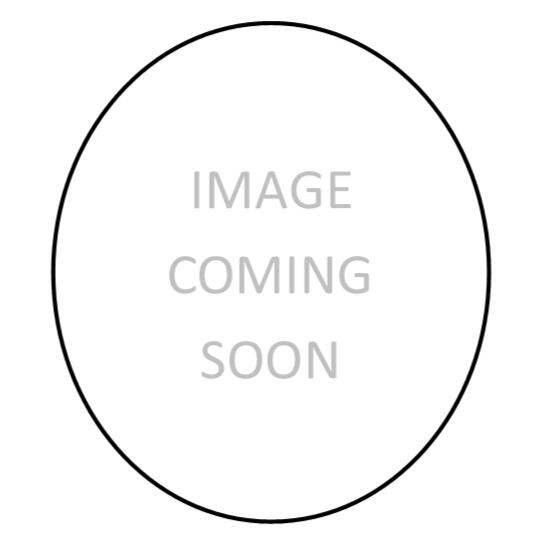 Rabbi Shneur Feldman, Director